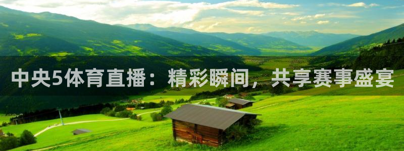 中央5体育直播：精彩瞬间，共享赛事盛宴